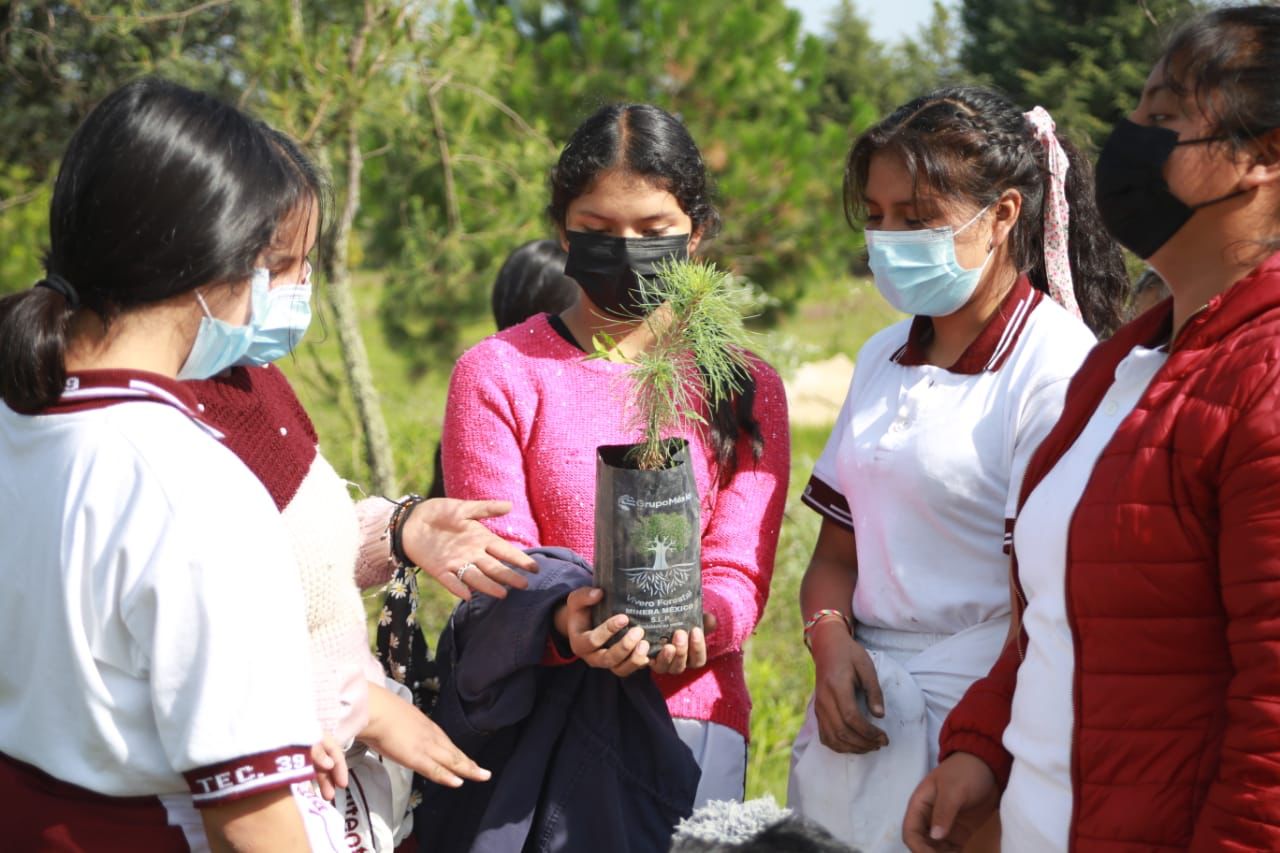 Plantará Ayuntamiento de Chiautempan en coordinación con fundación UAT y la SMA más de 5 mil árboles
